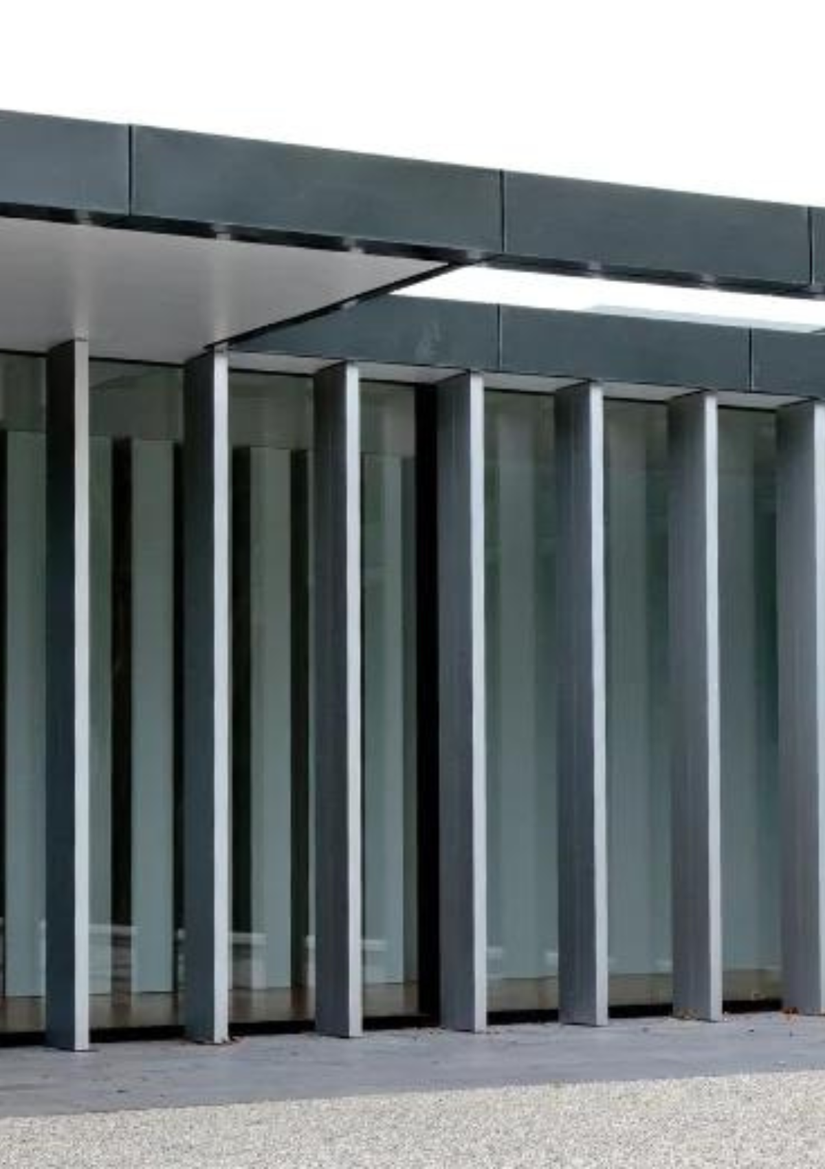 Untitled design - 2024-08-06T120341.338