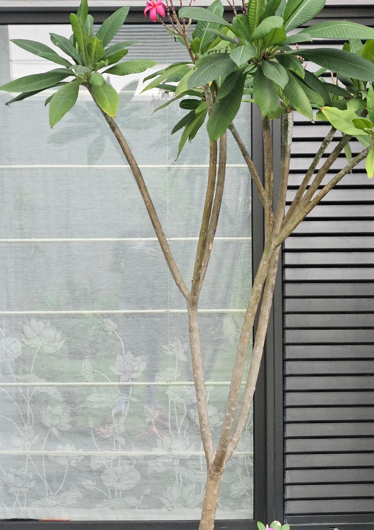 Untitled design - 2024-08-06T121135.918